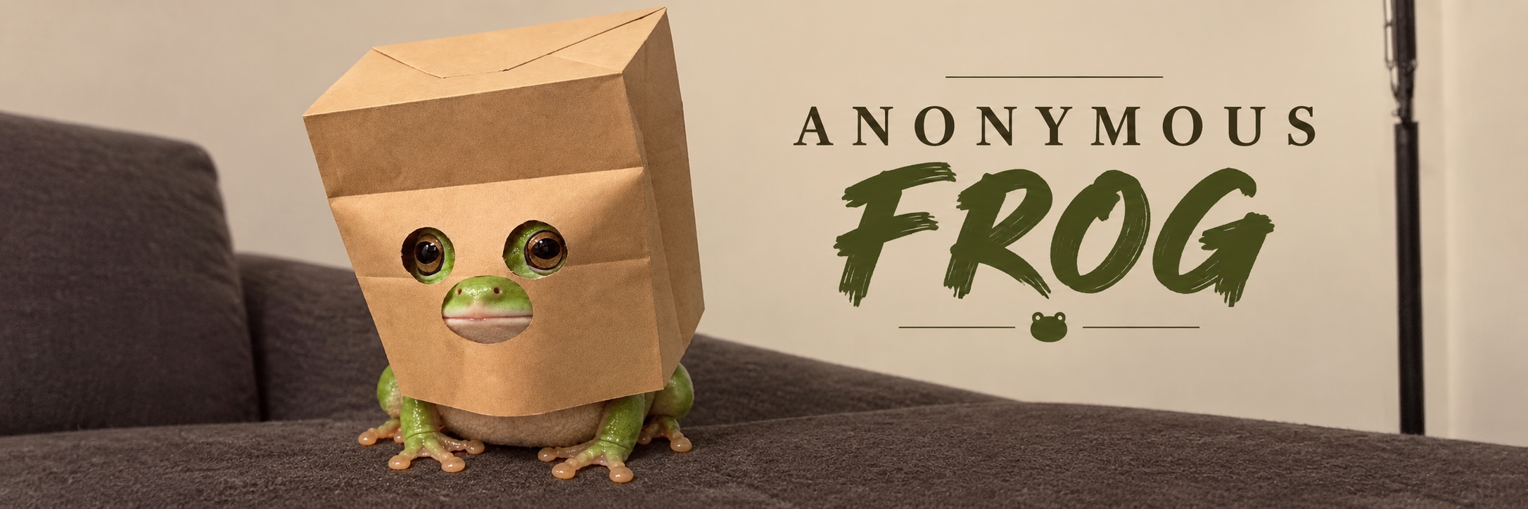 Anonymous Frog wearing a cardboard mask on a sofa