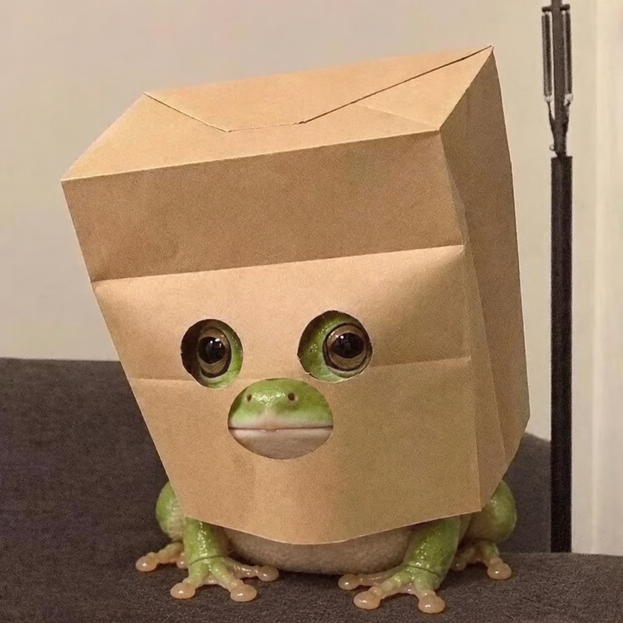 Close portrait of Anonymous Frog in a cardboard mask